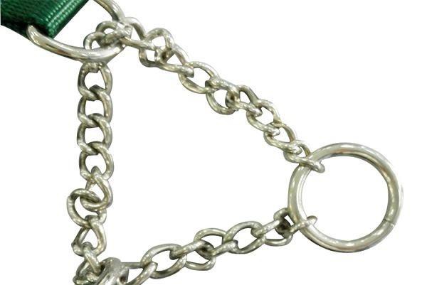 Hunting Dog Collars
