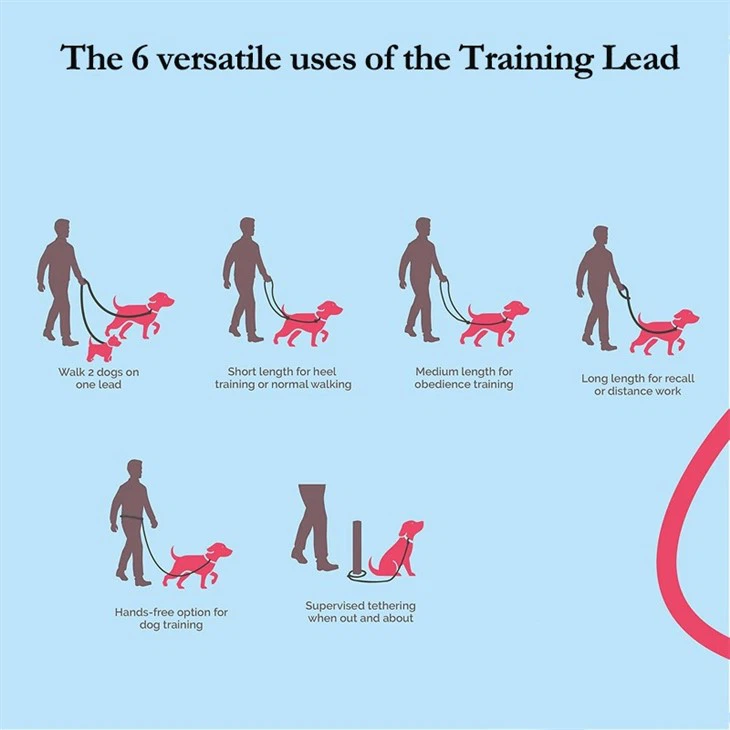 double ended dog lead for large dogs