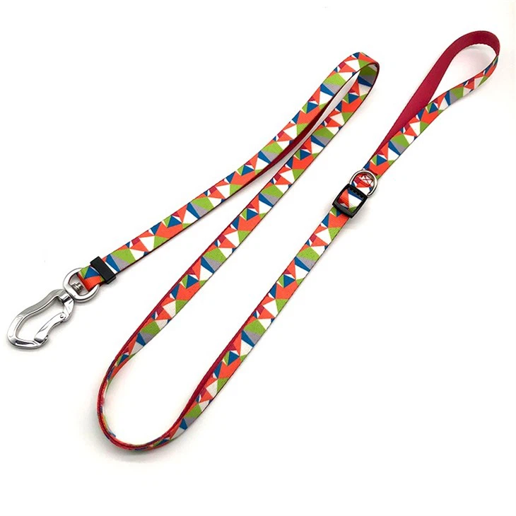 pet leash